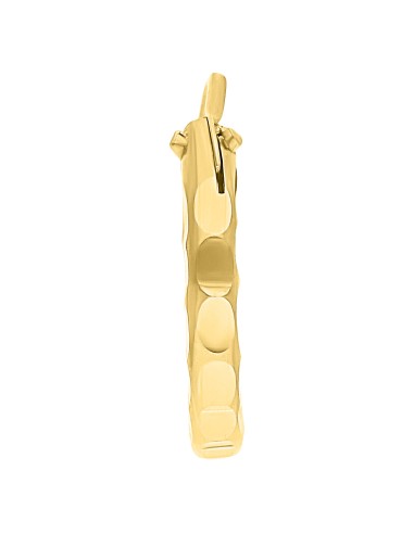 Arracada diamantada 00 Oro 10K
