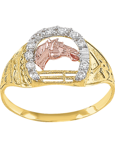 Anillo herradura caballo para hombre oro 10K